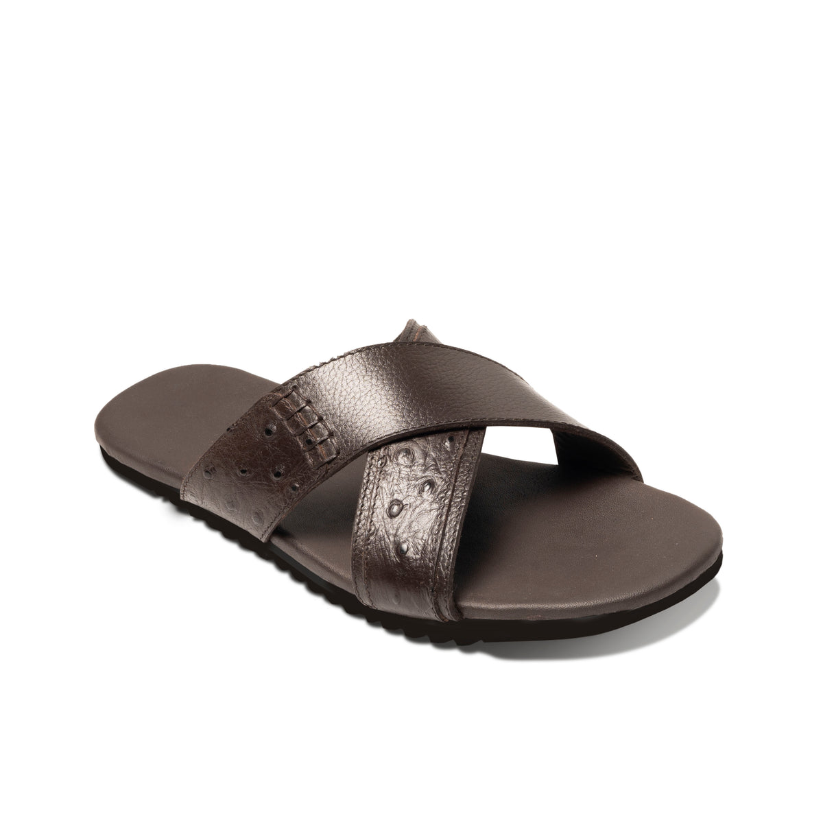 Gharial Ormara- Brown